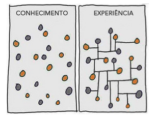 Calibrando o Capital Humano - Conhecimento versus Experiência