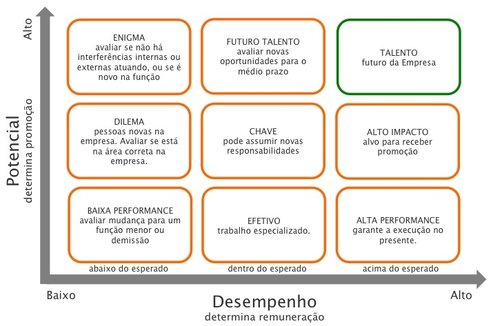 Potencial de crescimento profissional